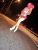 Erzurum Escort Selenay - Resim 2